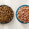 Wet vs Dry Cat Food. Which is better?