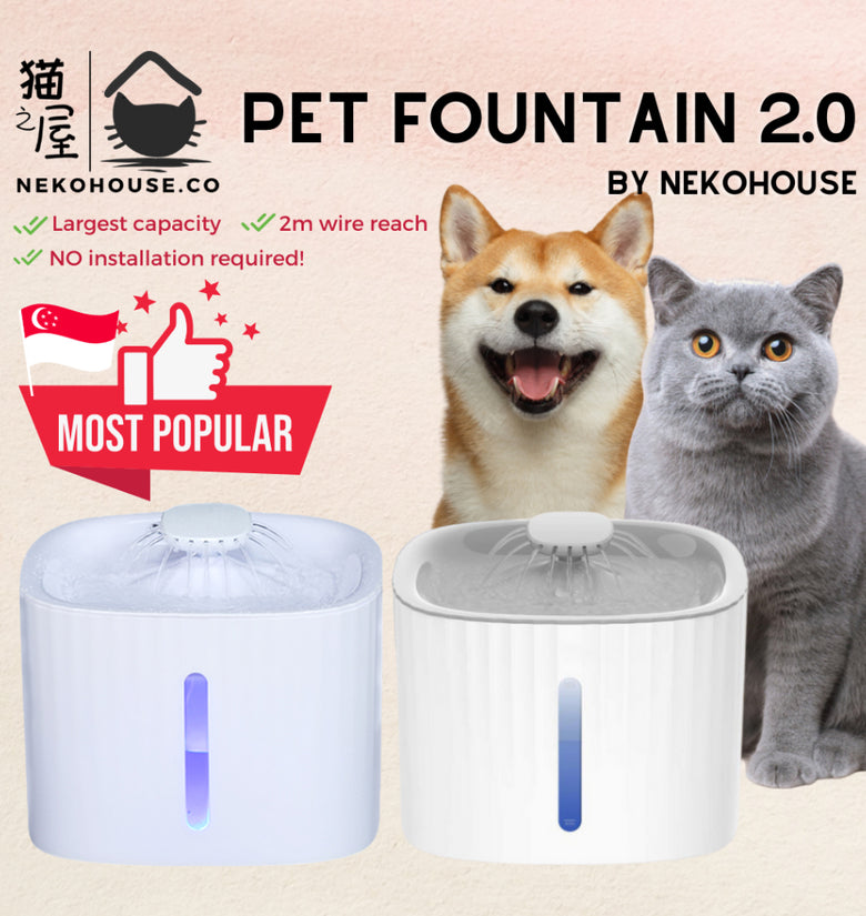 Pet Fountain Water Dispenser with Filtration 3L