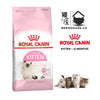 Royal Canin Kitten Dry Cat Food Feline Health Nutrition (Second Age <12 Months)