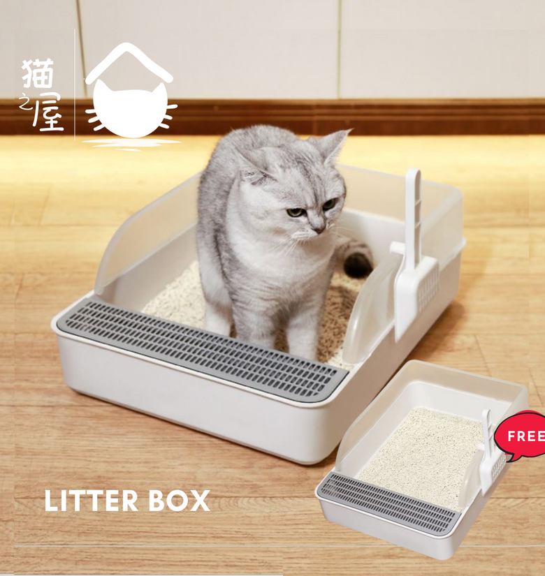 cat in toilet litter box